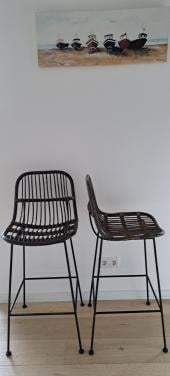 Rotan barkrukken