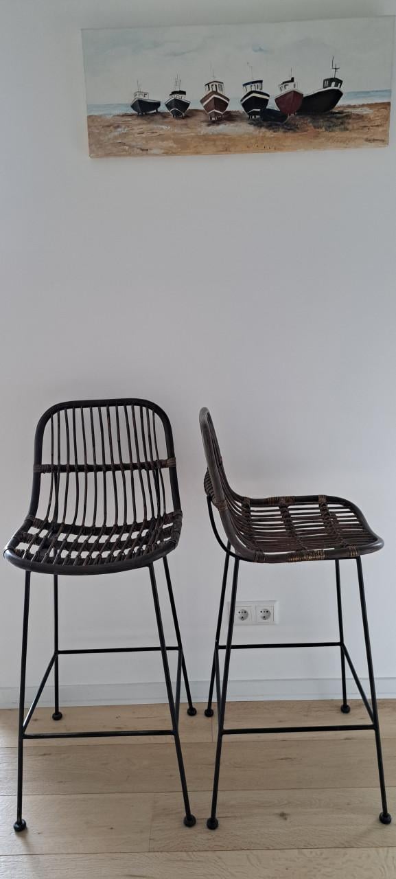 Rotan barkrukken
