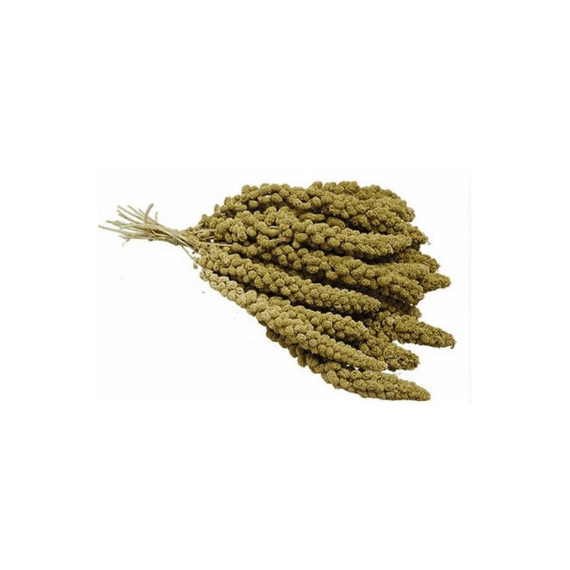 20 % EXTRA korting op vogelvoeders.............