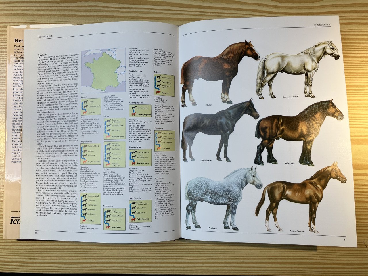 Boeken over paarden