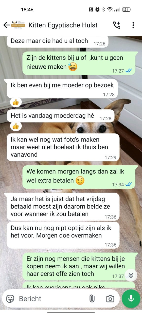 Niet zomaar aanbetalen zonder ze te zien👈😎