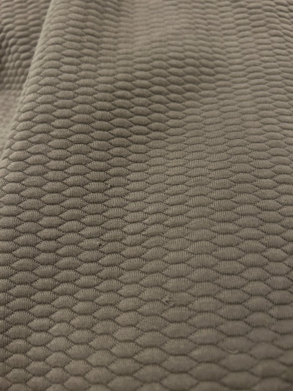 Cavallaro trui met korte rits