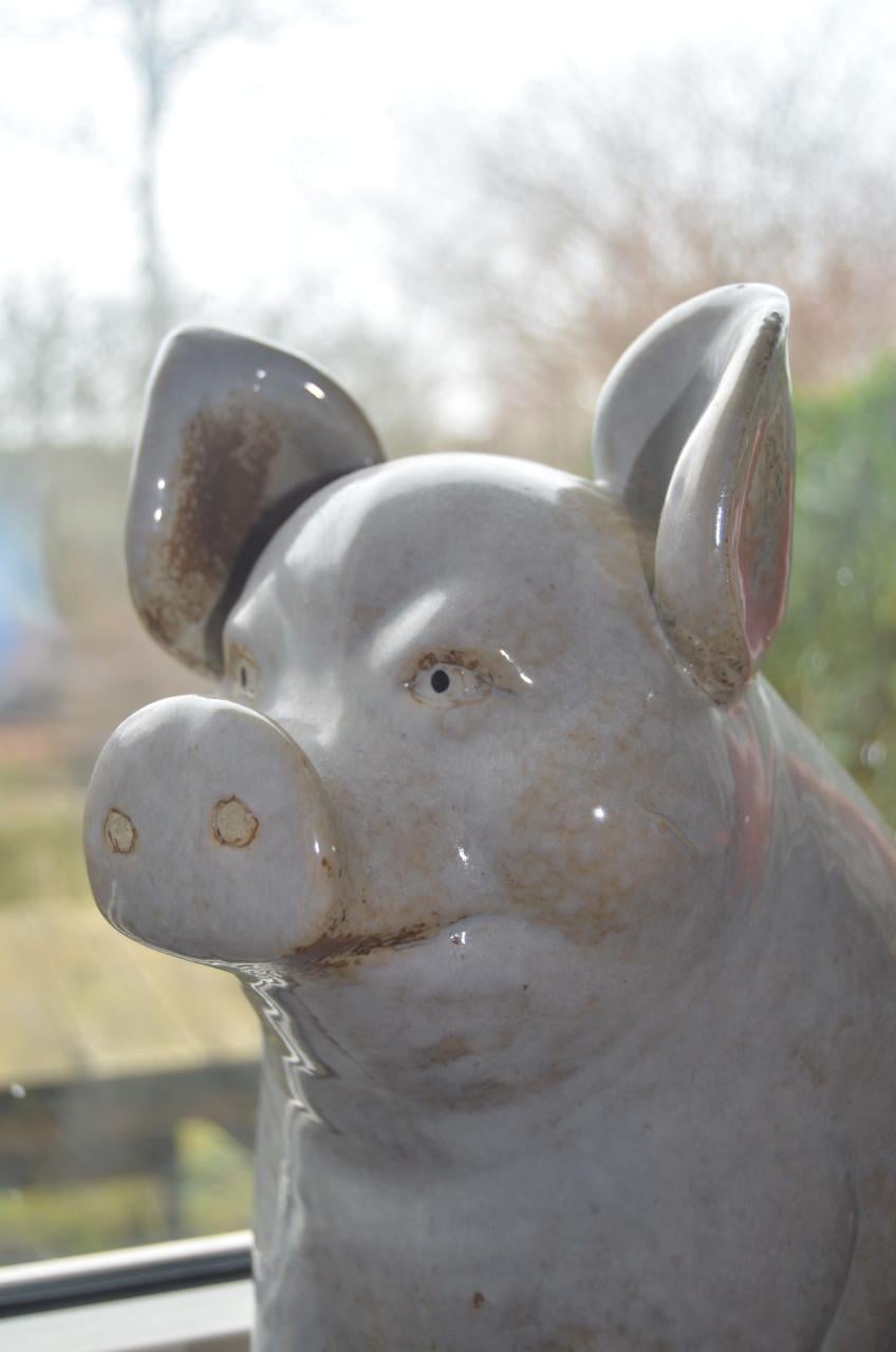 Leuk keramiek varken in prima staat!