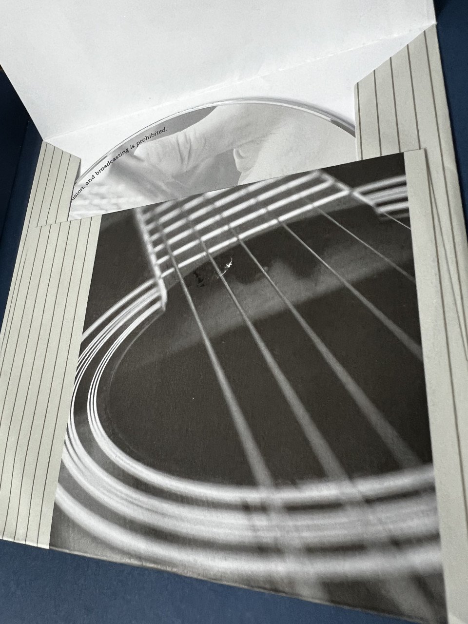 Fingerpicking gids voor gitaar