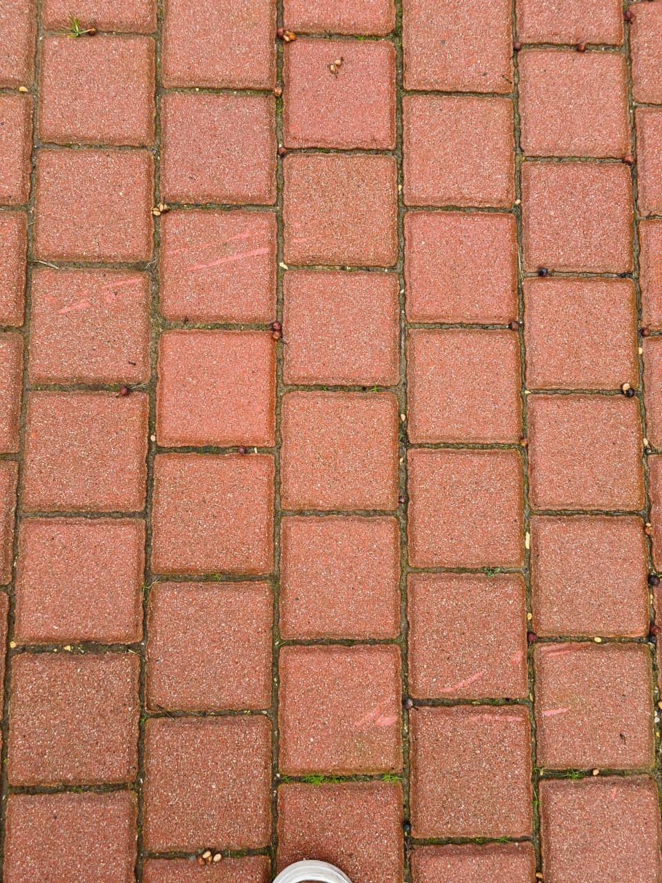 Terras stenen GRATIS