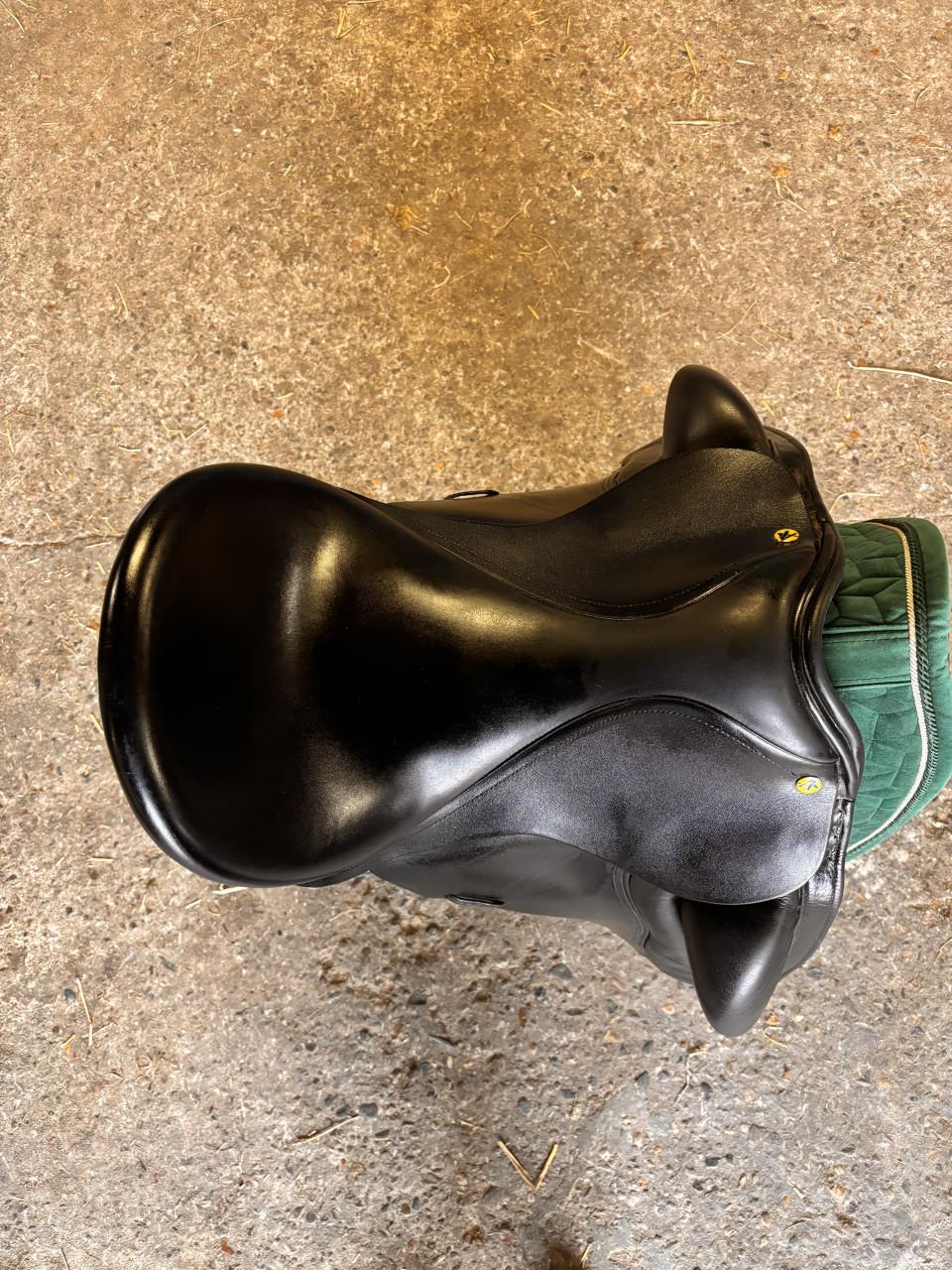 Anatomica Cygnus dressuurzadal