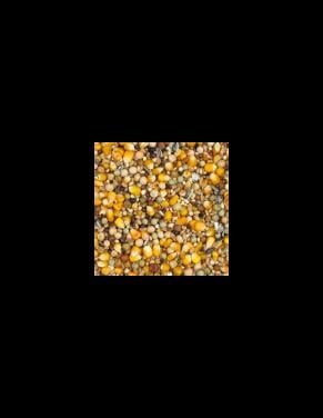 Duivenvoer VanRobaeys KWEEK/VLUCHT STANDAARD 20 KILO