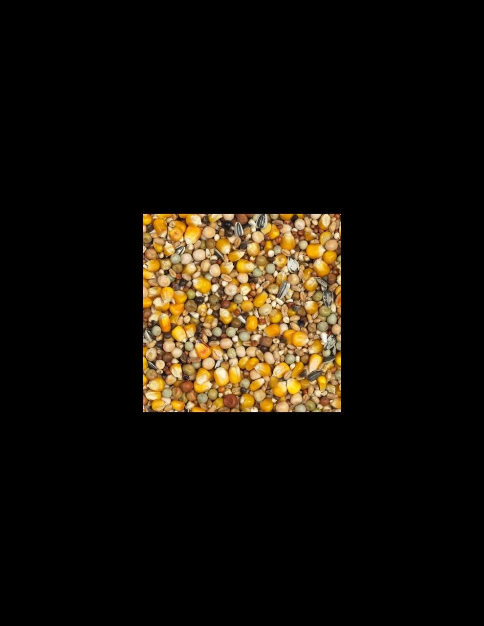 Duivenvoer VanRobaeys KWEEK/VLUCHT STANDAARD 20 KILO