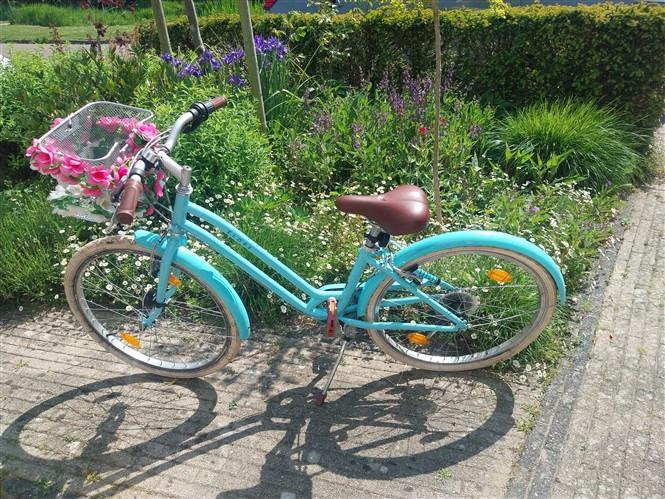 Mooie Meidenfiets