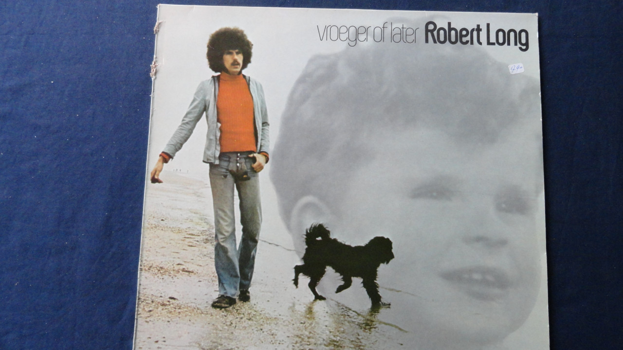 Diverse LP's zie lijst