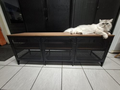 TV Meubel industrieel