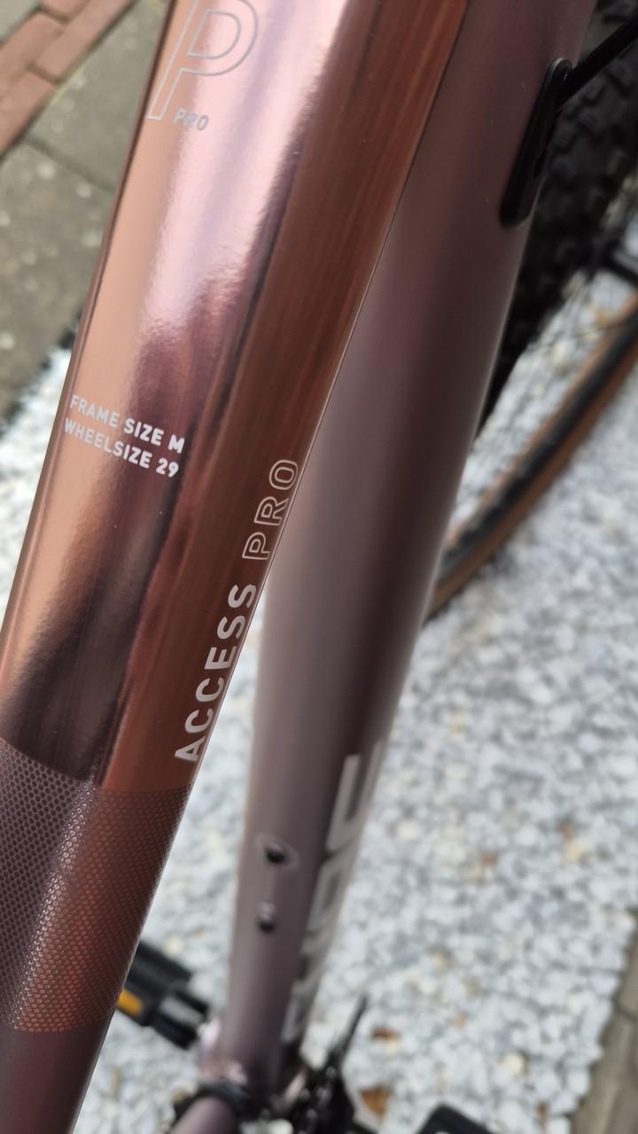 Cube Access WS Pro '23