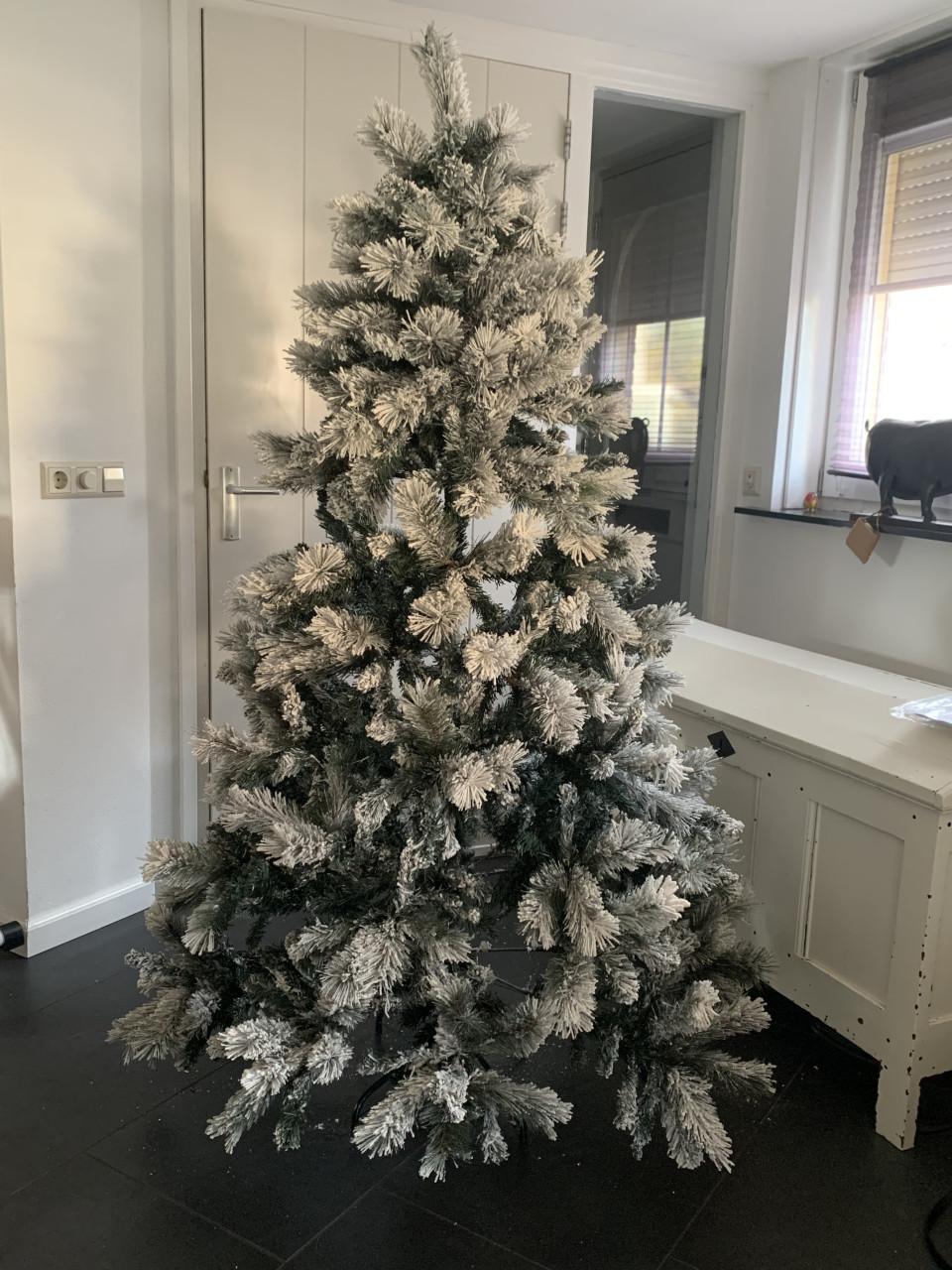 Kerstboom met sneeuw . Intratuin