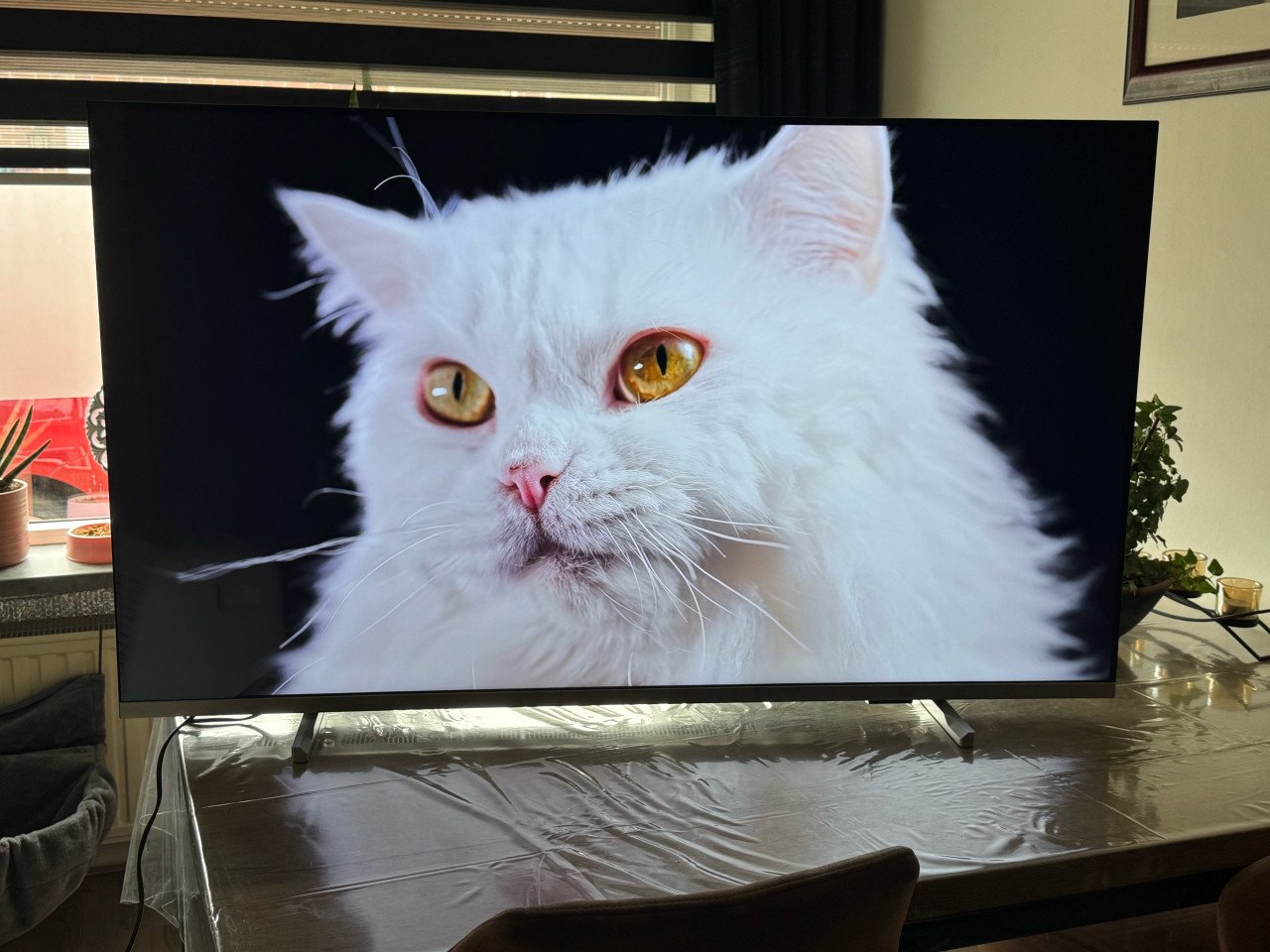 Philips smart tv 4k 55 inch ongeveer twee jaar oud