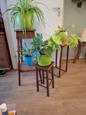 3 plantetafeltjes