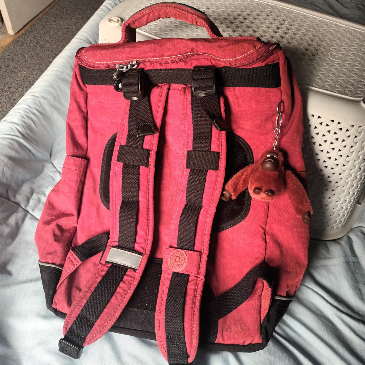 Rugtas kipling