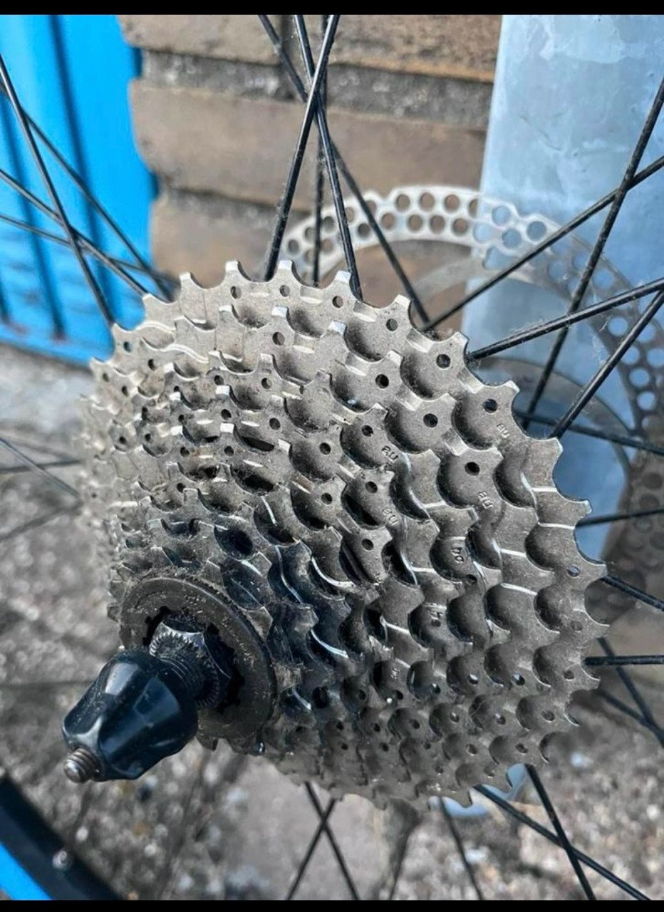Scott Scole 20 Carbon top ATB!