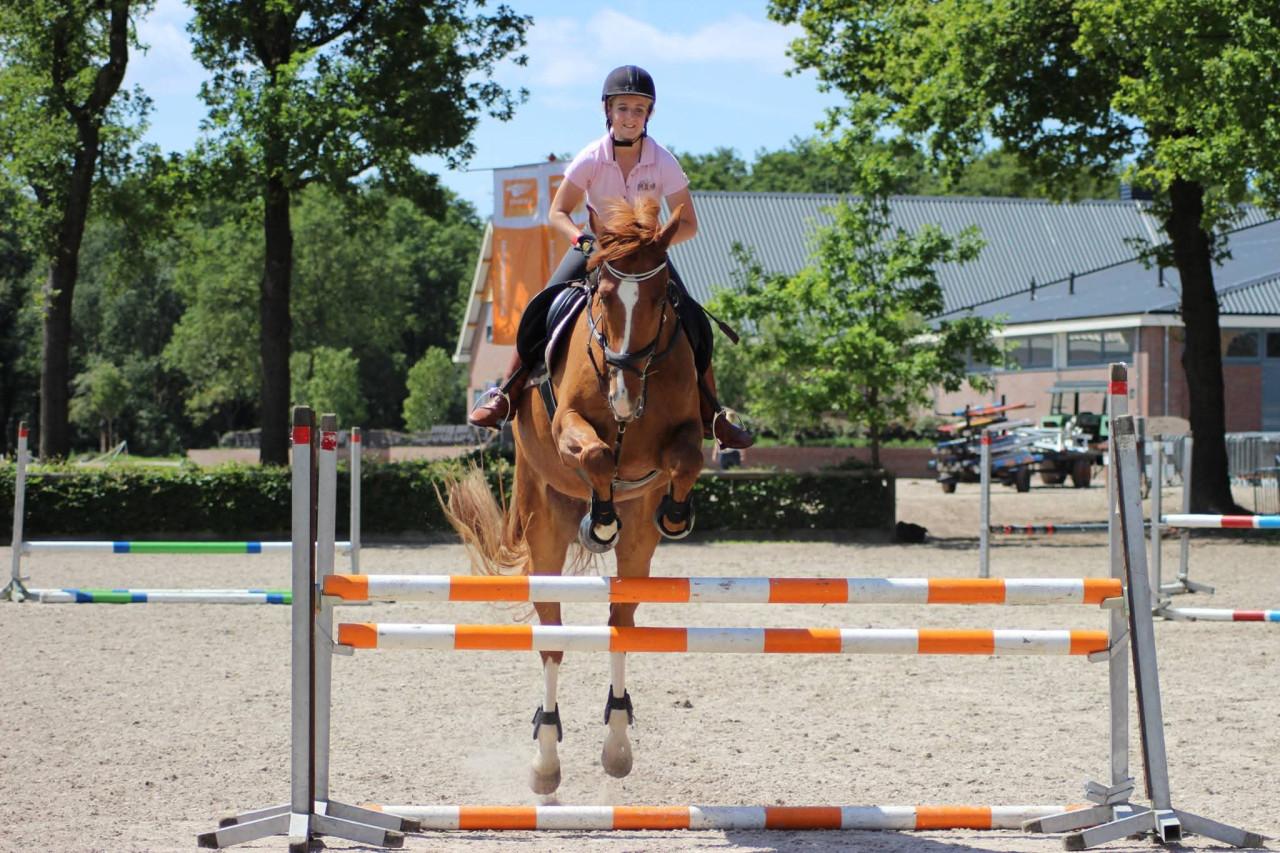 Talentvolle vos ruin (2009)