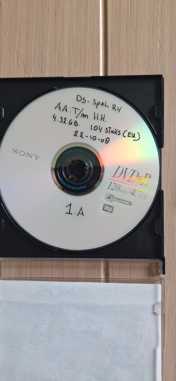 Nintendo DS r4 kopieën 1000 spellentjes