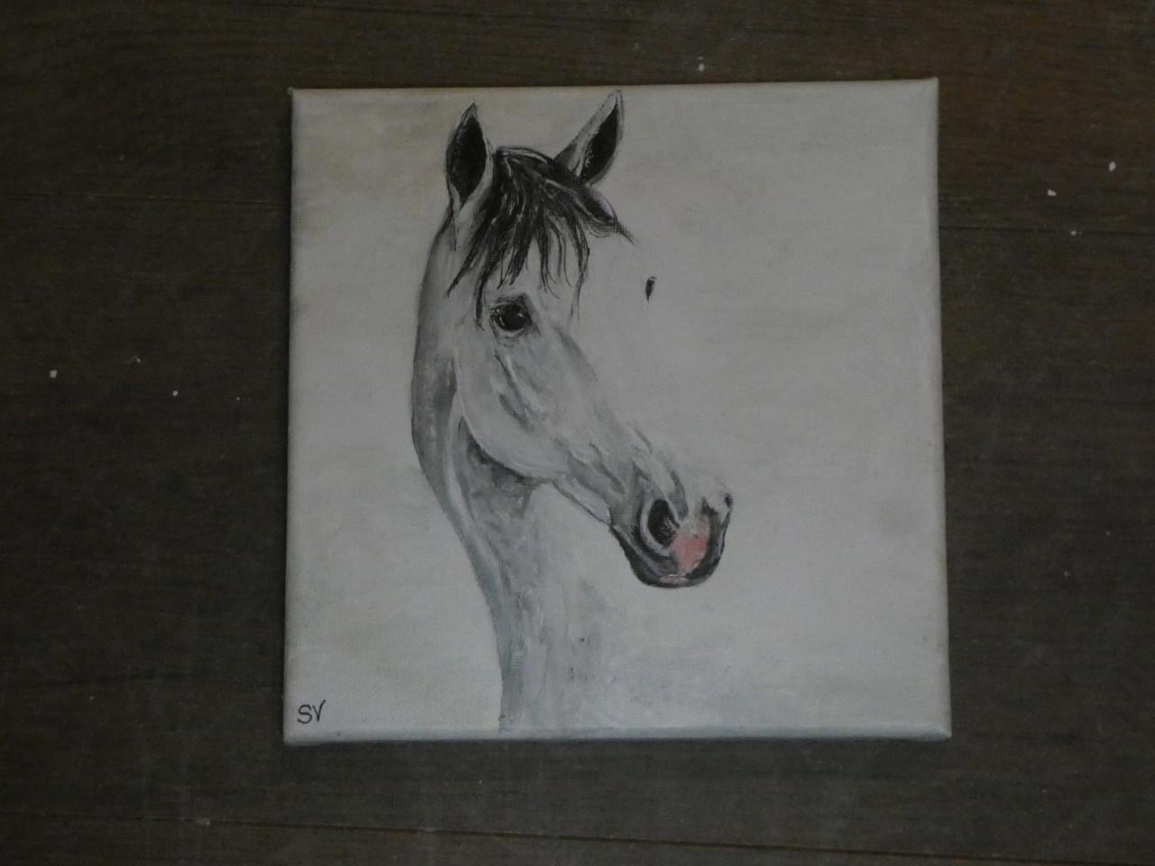 Aanbieding februari - portret van je huisdier vanaf € 50,00