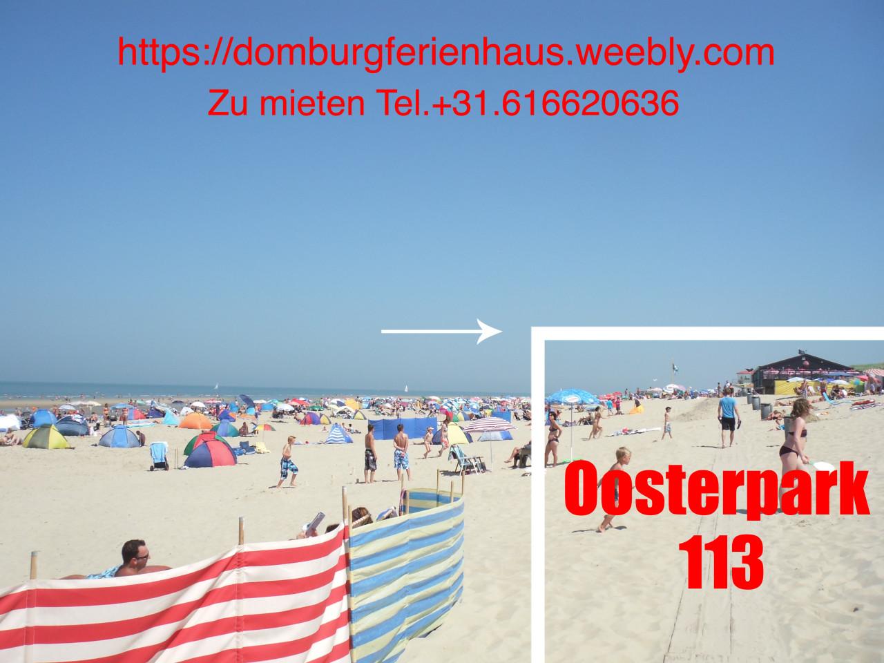 4p. vakantiebungalow, 10 min wandelen: zee, strand, duin en bos