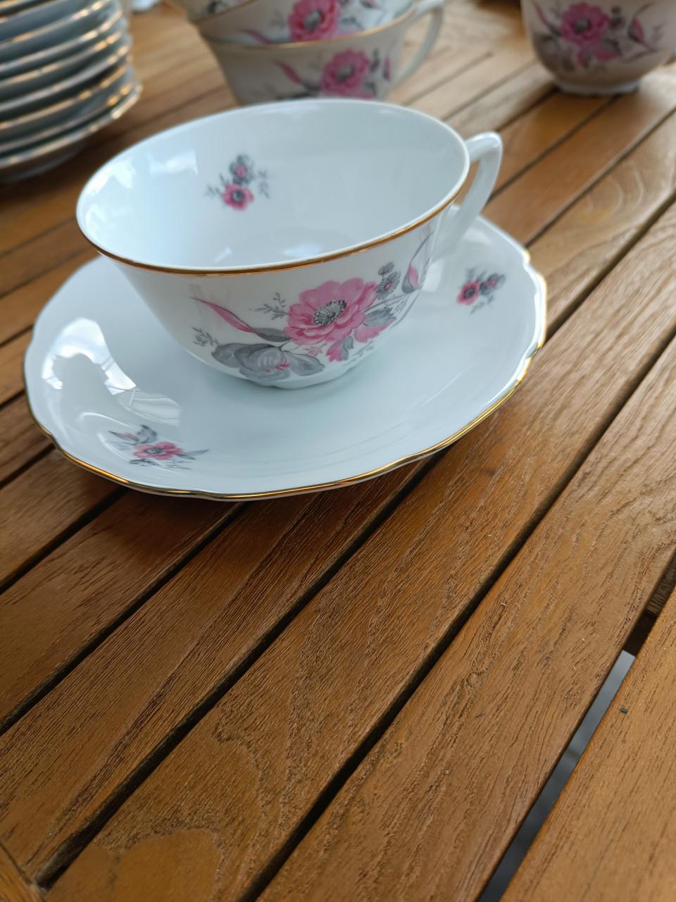 RGK Czechoslovakia Servies 12 personen