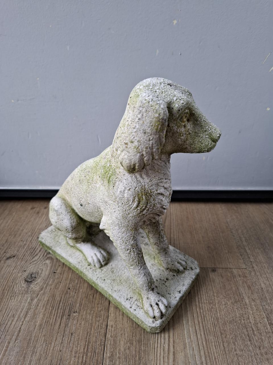 Betonnen beeld hond