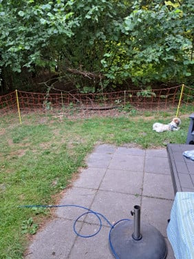 Schapennet van 25 meter met stokken