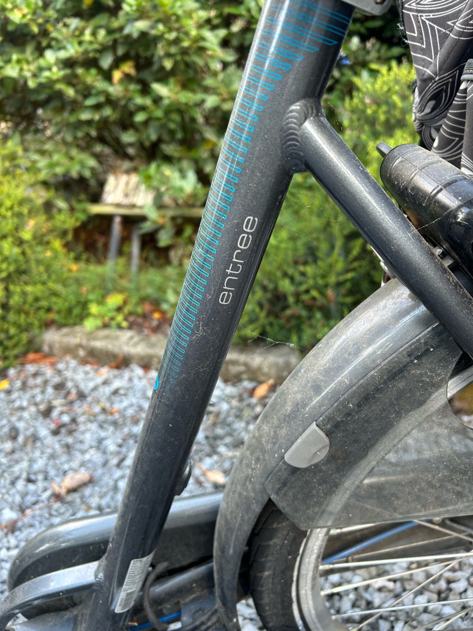 Elektrisch fiets lage instap