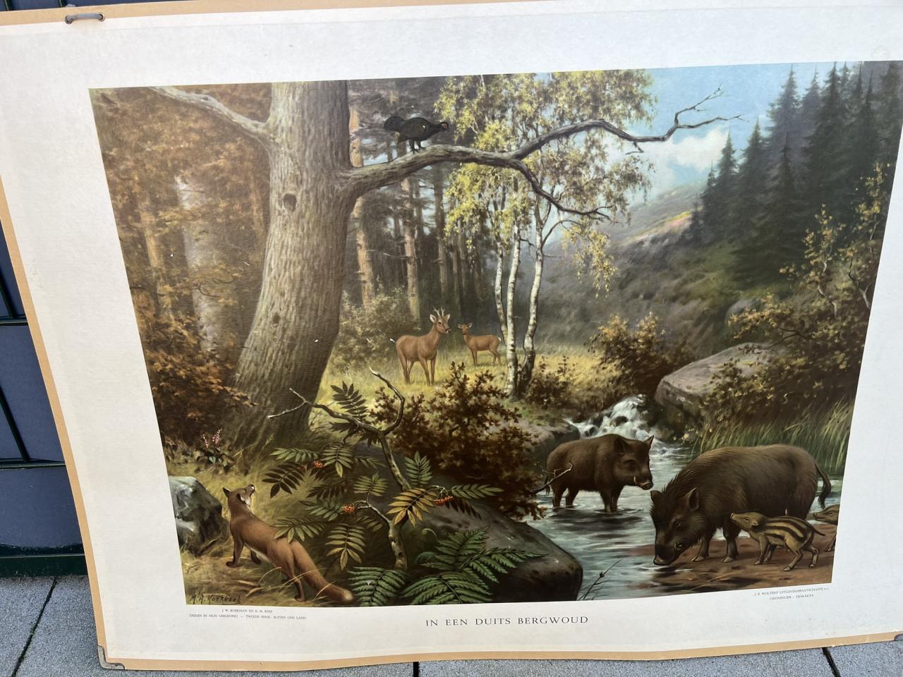 Schoolplaat in het Duitse bergwoud