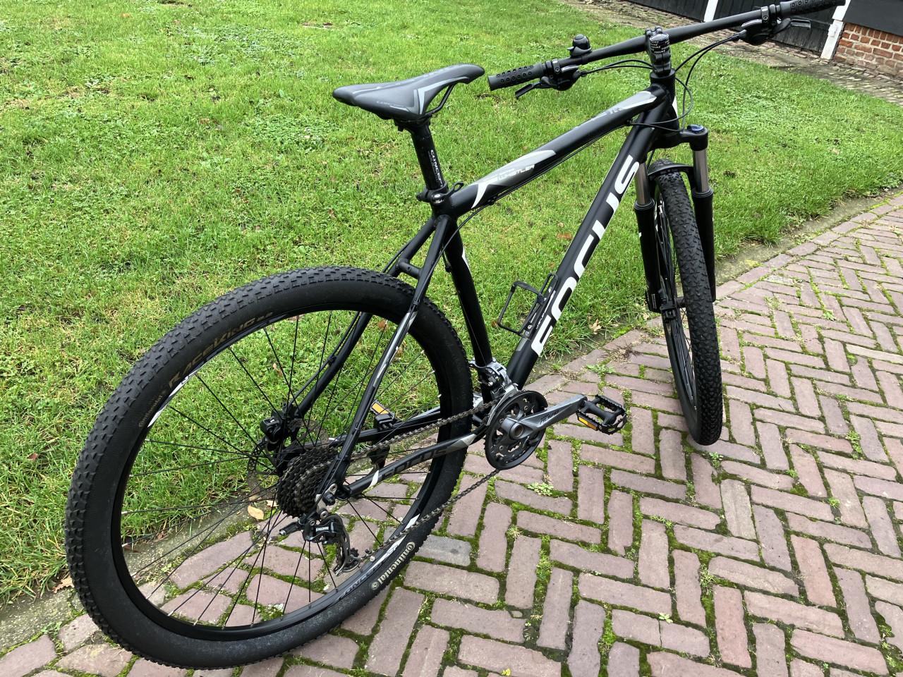 Focus Whistler 29''