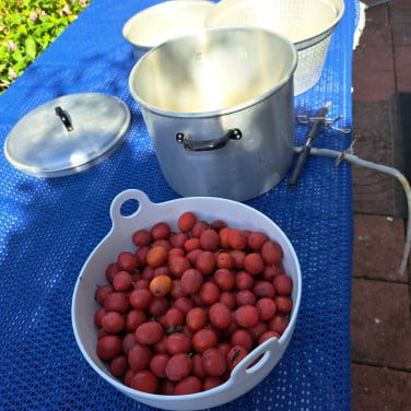 Sap pan