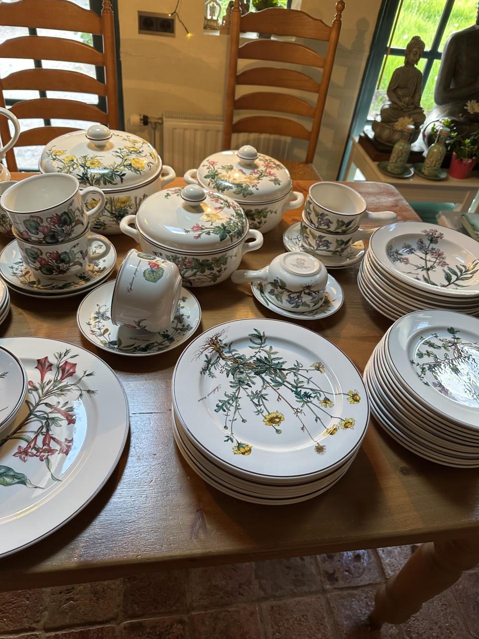 Botanica Servies