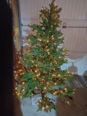 Kerstboom