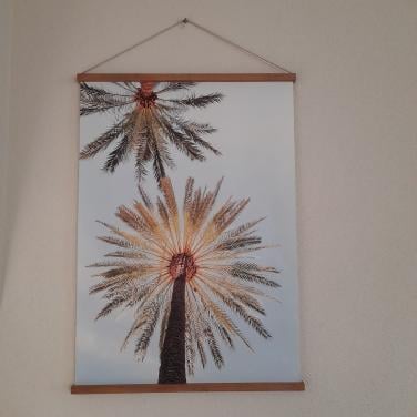 Leuke hanger/ schilderij (in goede nette staat)