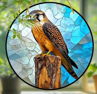 Raamhanger torenvalk ( roofvogel )