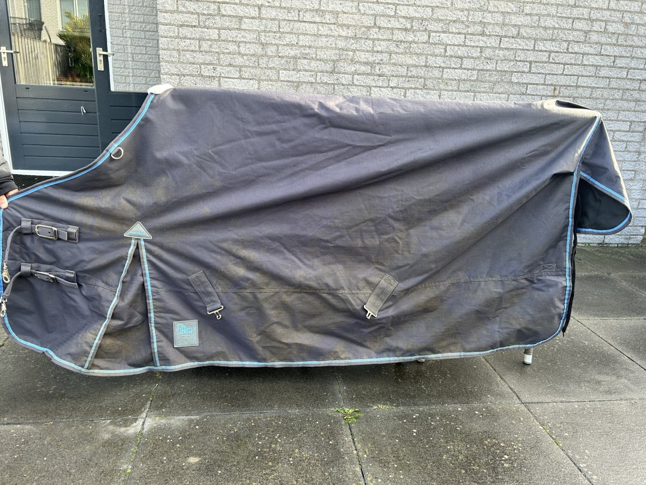 Dekens