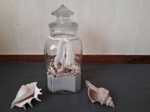 Decoratie pot met schelpen