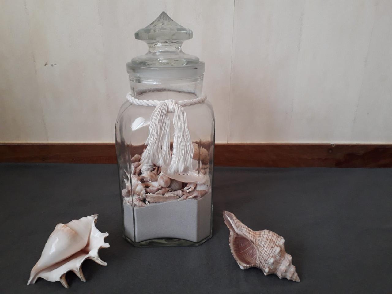 Decoratie pot met schelpen