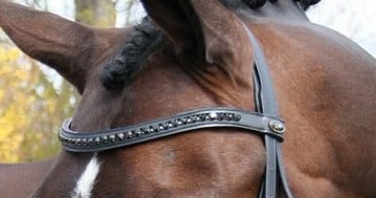 Bling frontriem nieuw