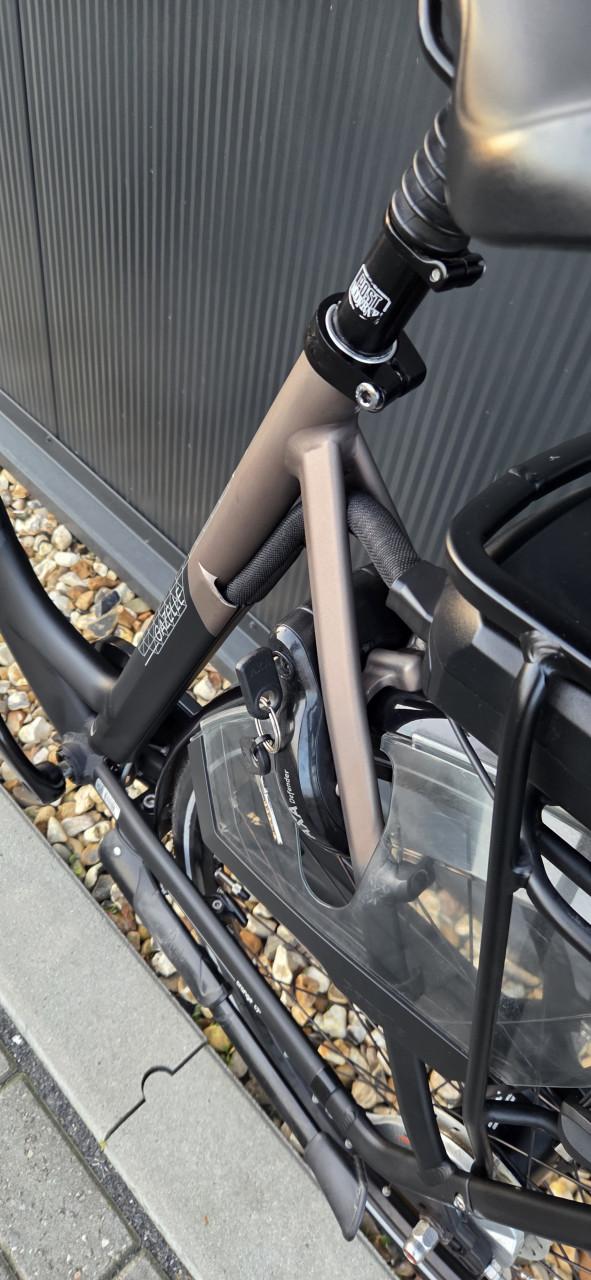 Gazelle Orange C7+ HMB 57cm Platinum accu