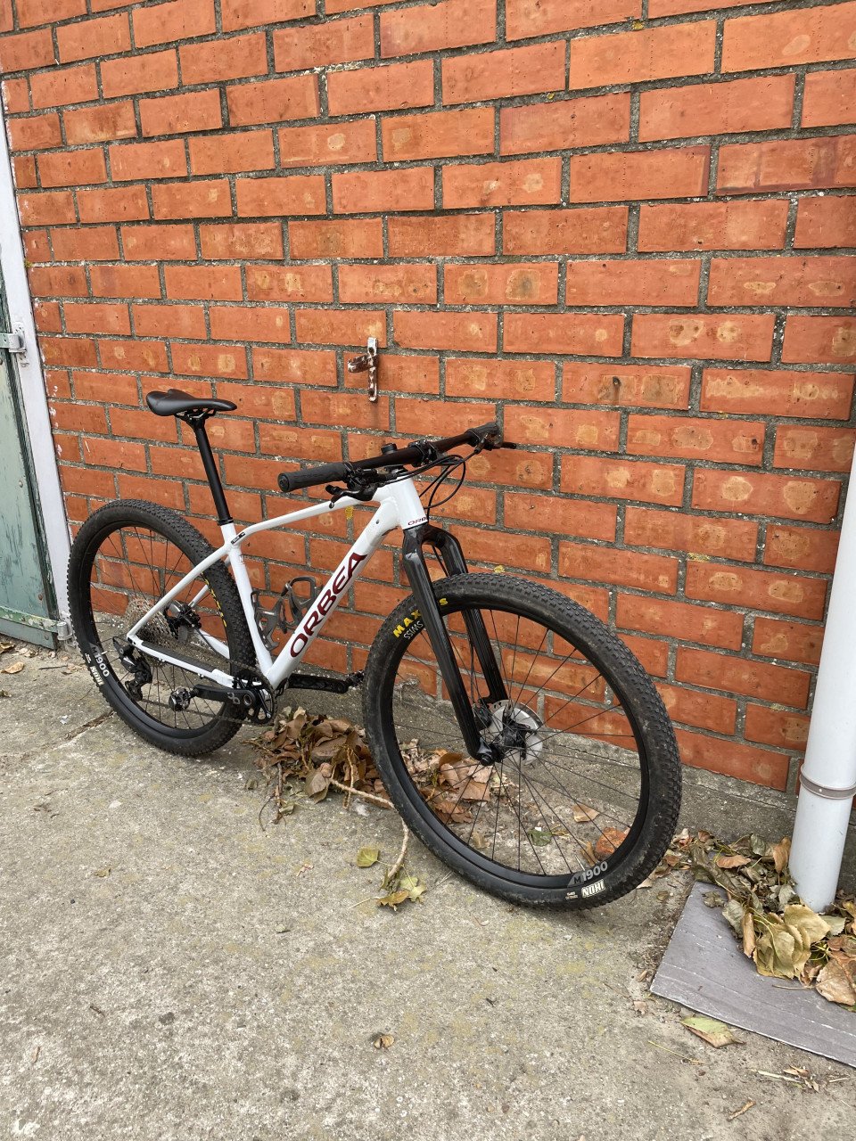 Orbea alma met carbon voorvork en dt swiss wielen