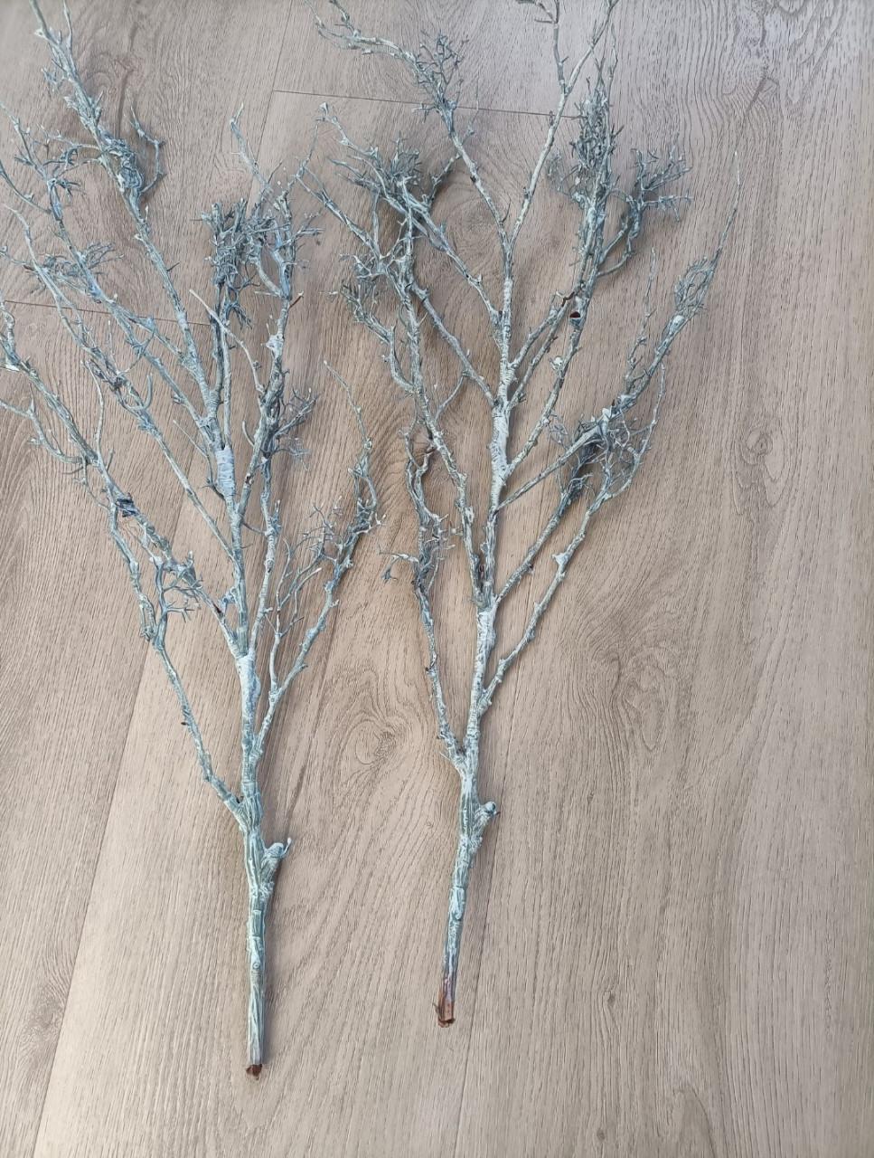 2x kunst takken voor €1,50