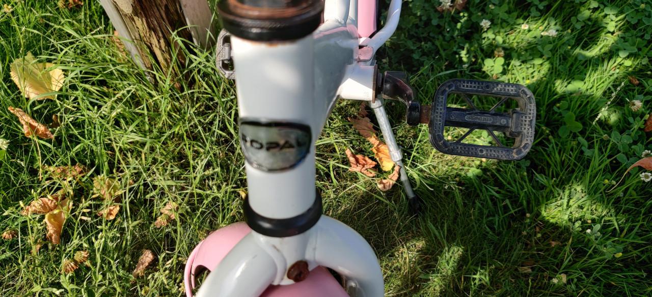 Fietsje 14 inch Popal
