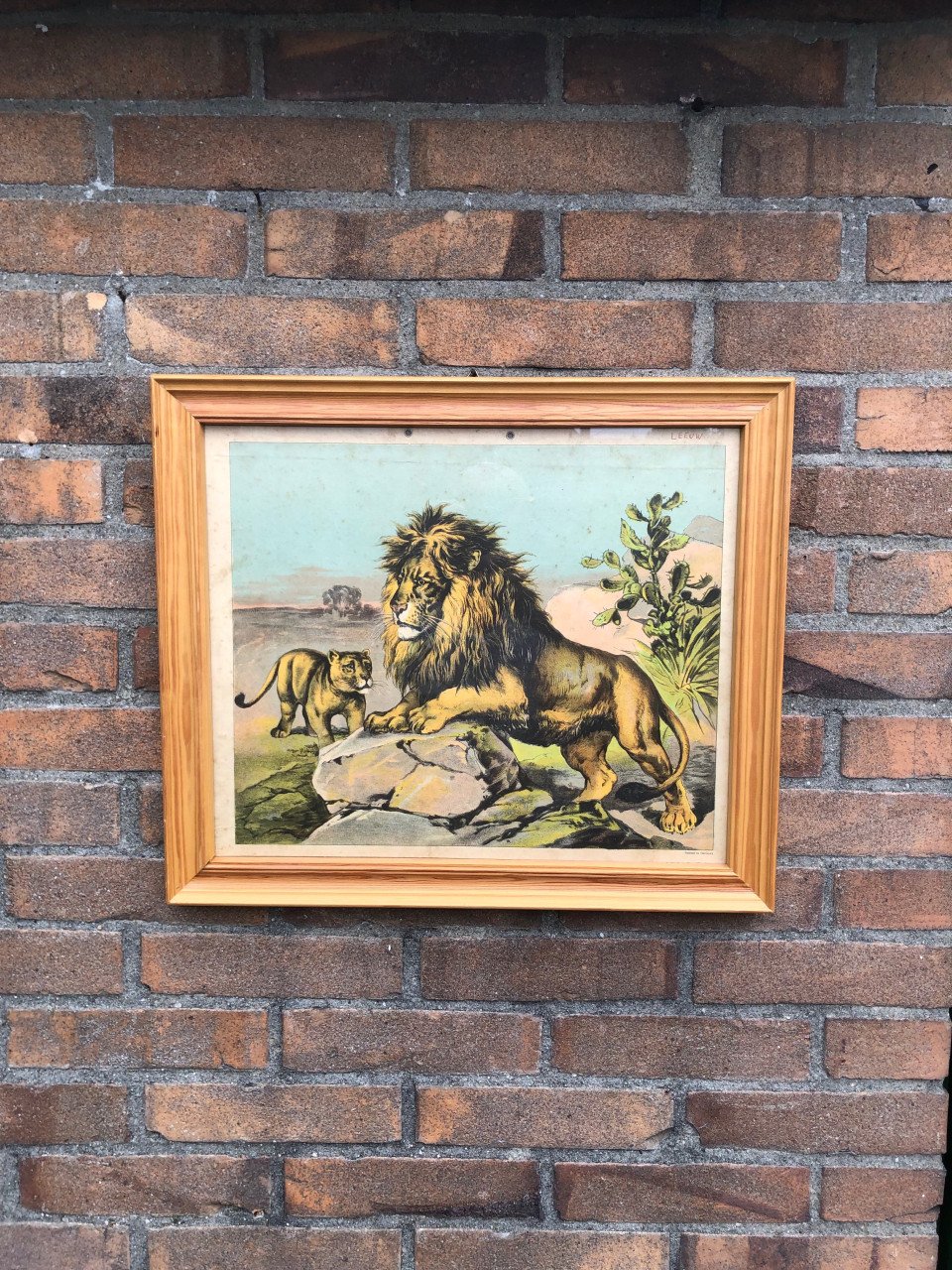 Vintage school plaat met twee leeuwen.