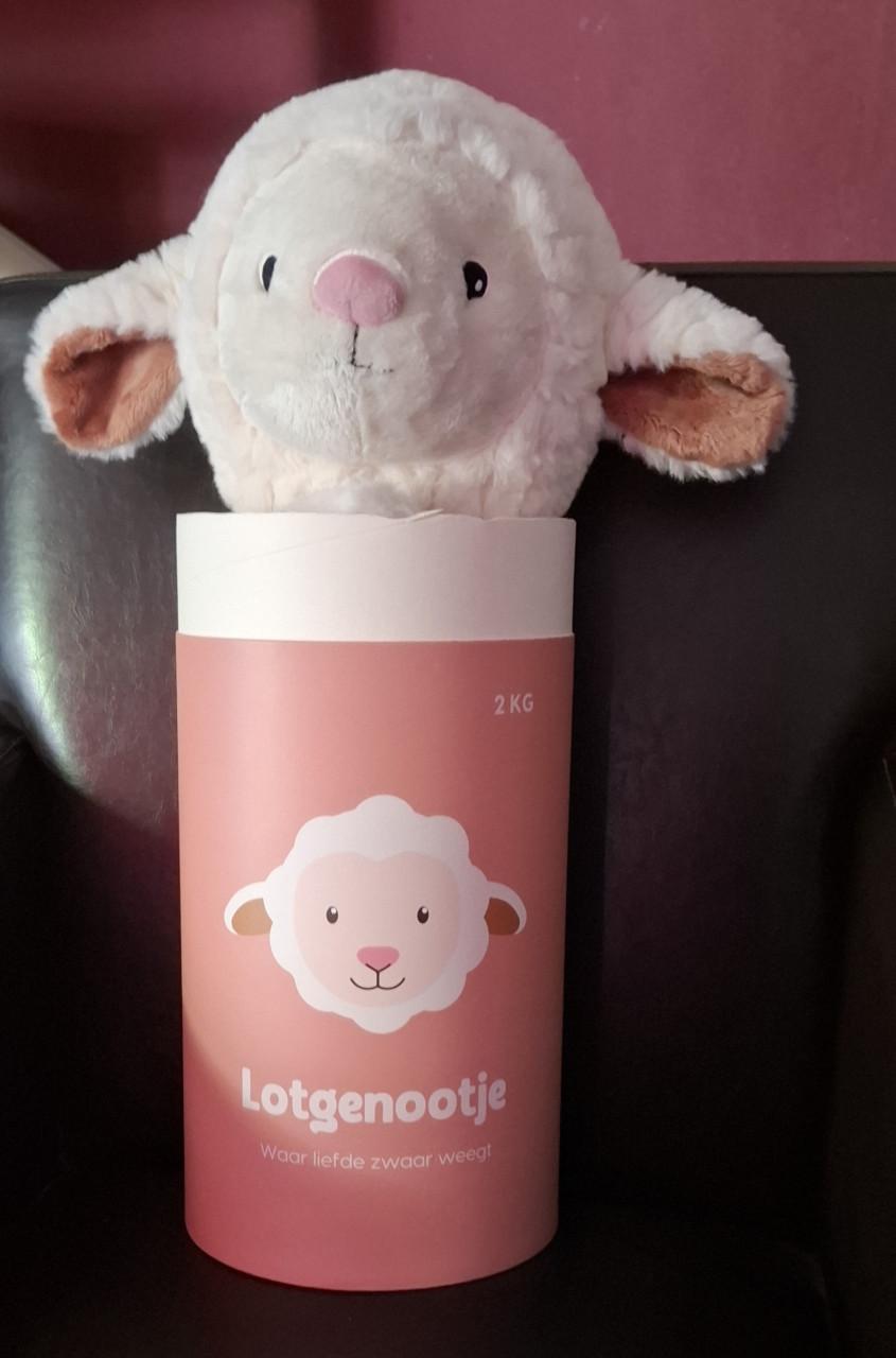 Lotgenootje schaap 2 kilo