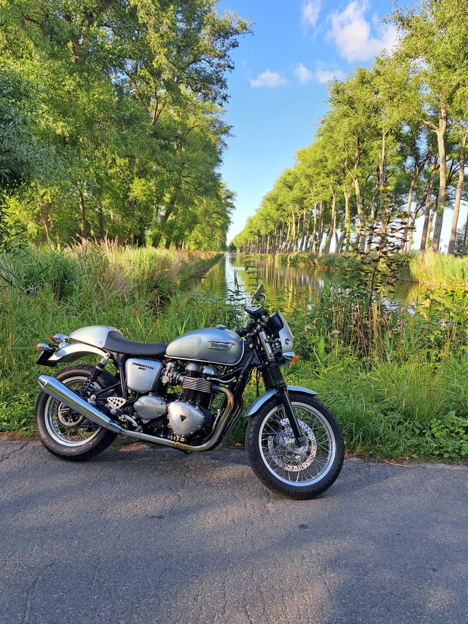 Truimph Thruxton 900