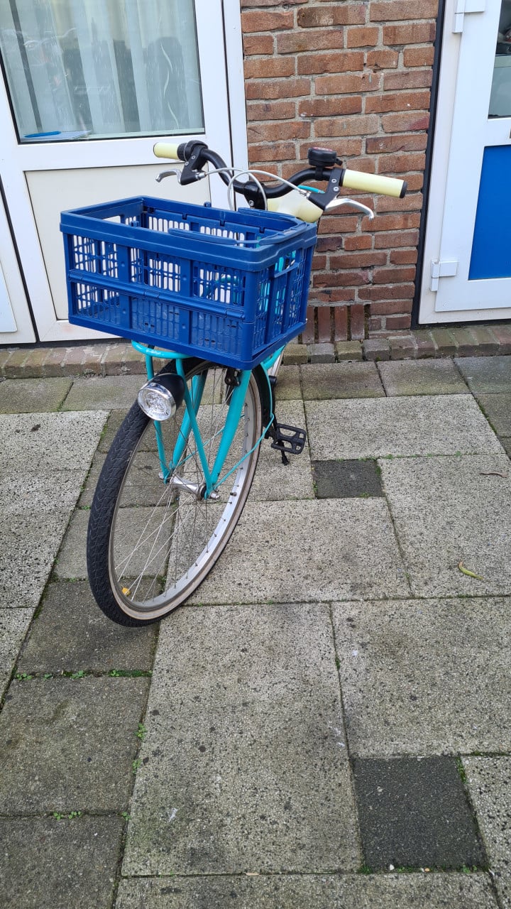 Meisjes fiets BATAVUS met 3 versnellingen-26 inch-trap rem achter