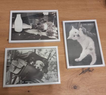 3 lijstjes met afbeelding