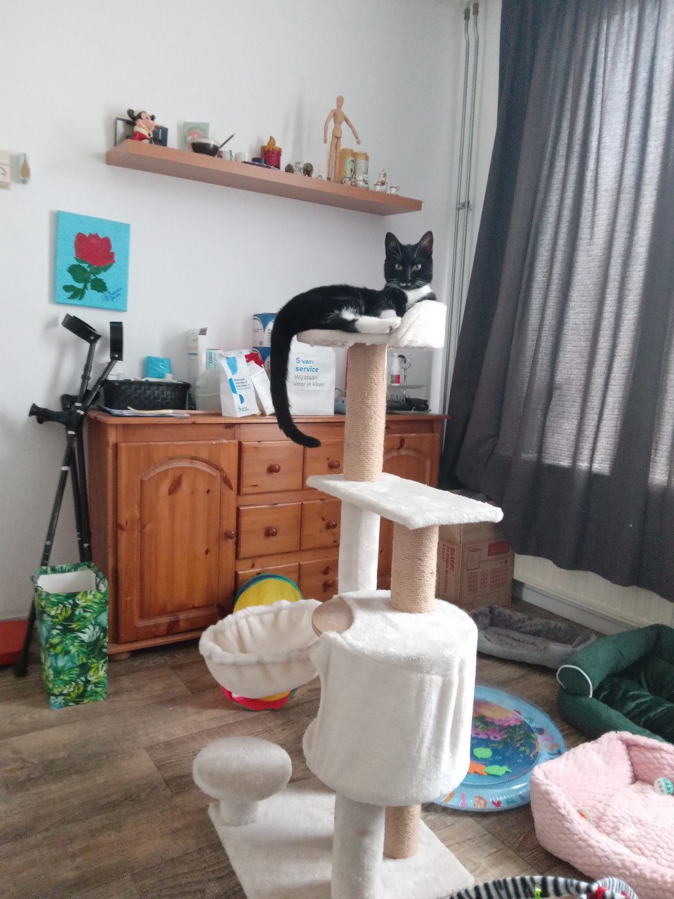 Katten